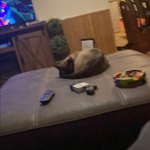 Meet your Posher, Keith